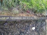 image of grave number 373315